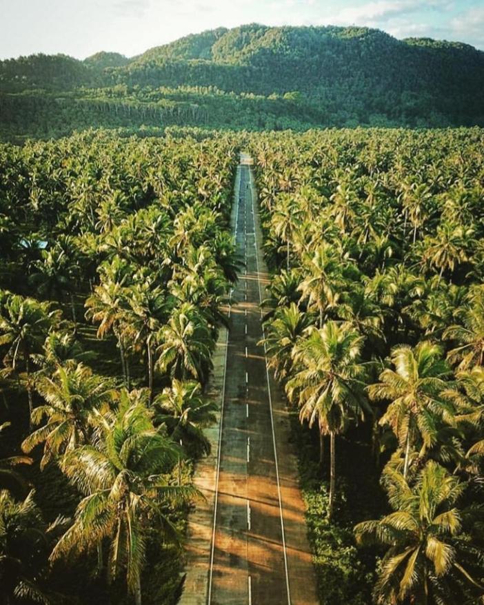 "Triangle Hut" Camp Fuego Siargao 호텔 Catangnan 외부 사진